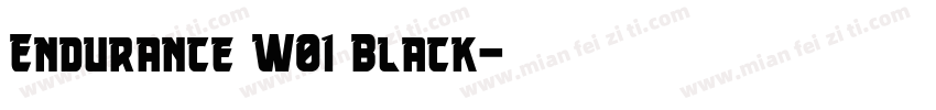 Endurance W01 Black字体转换